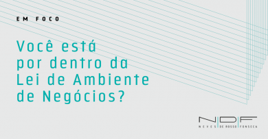 Lei de Ambiente de Negócios